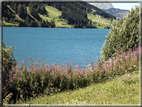 foto Lago di Resia